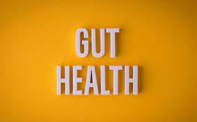 Gut Health 101