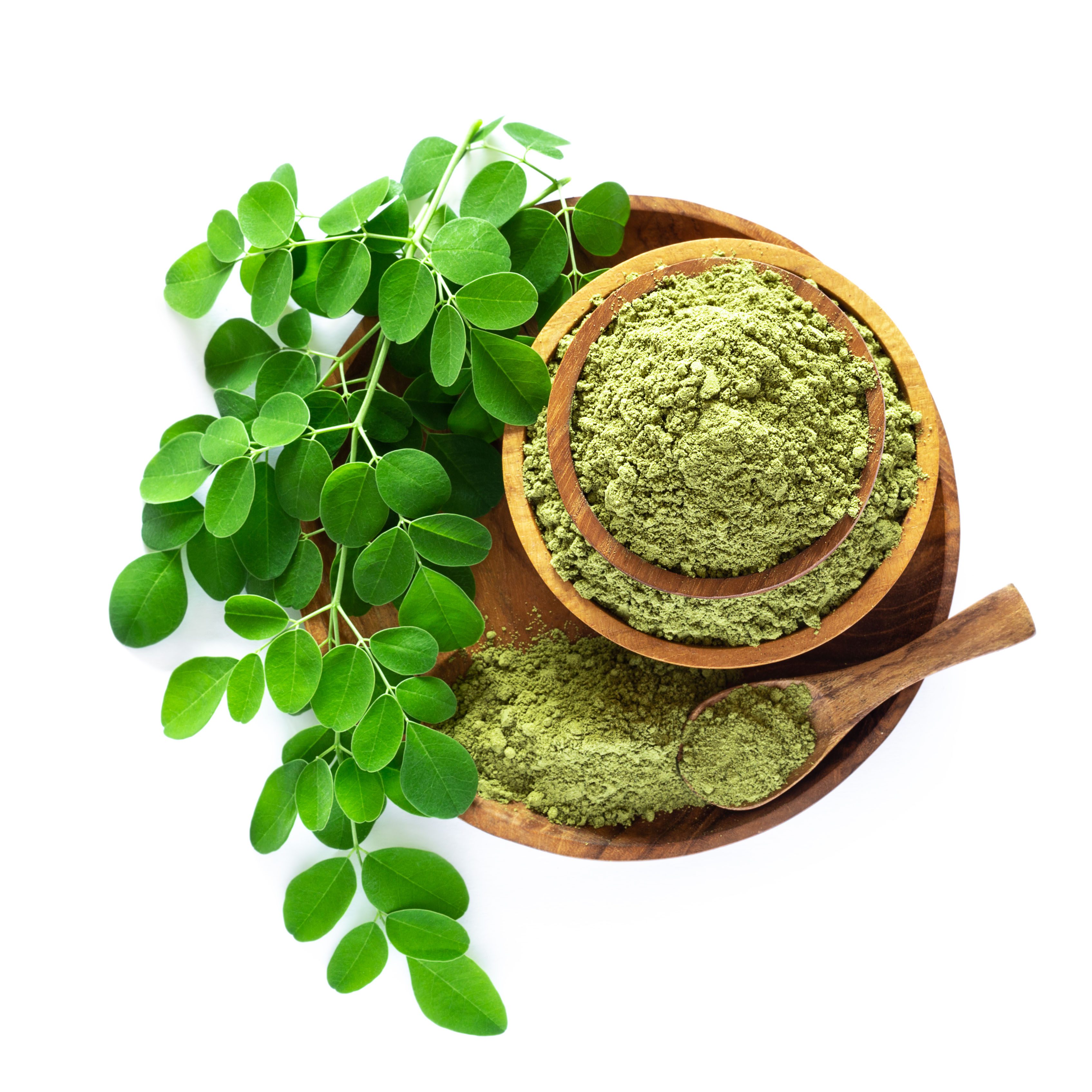 The Medicinal Uses of Moringa: Ghana’s Tree of Life
